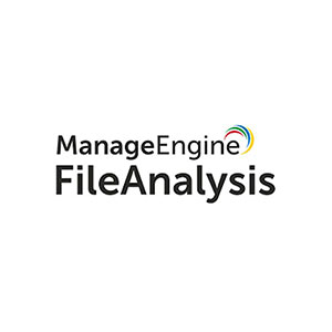 File Analysis