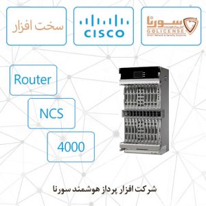 Router NCS 4000